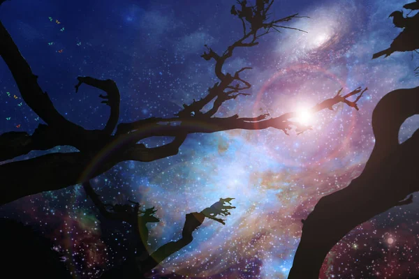 Uzay Arkaplanındaki Ağacın Gece Silueti — Stok fotoğraf
