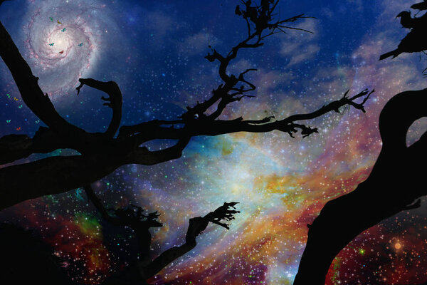 Night silhouette of tree on space background