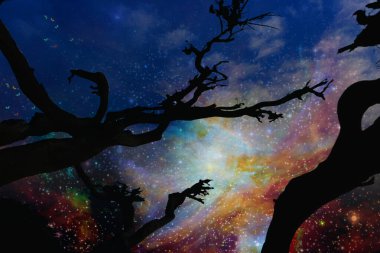 night silhouette of tree on space background 