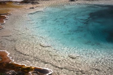 Yellowstone Ulusal Parkı 'nda bahar, ABD.