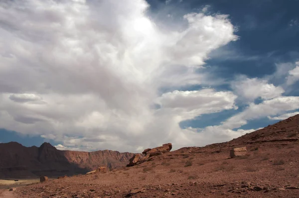 Desert Landscape Beautiful Nature Scene — Stock Photo, Image