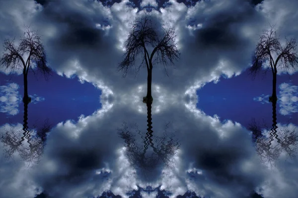 Reflexão Perfeita Árvores Superfície Água — Fotografia de Stock