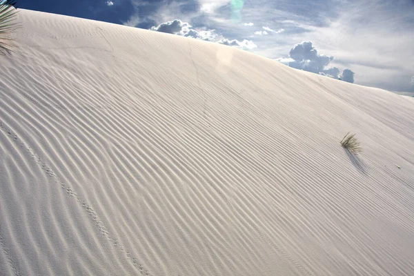 Dune Sabbia Nel Deserto Namib Illustrazione — Foto Stock