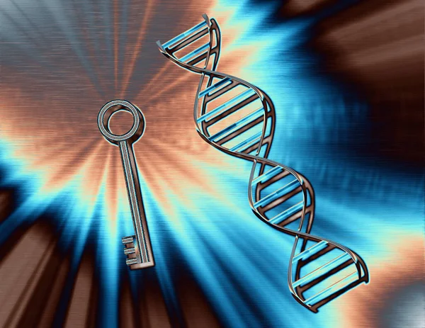 Dna Strand Key Rendering — Stock Photo, Image