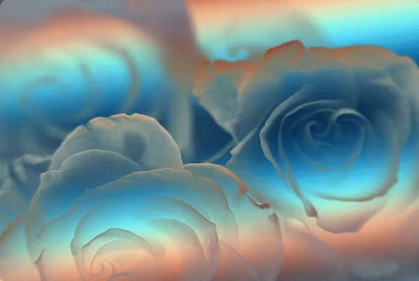 Bright Background Beautiful Rose Flowers — 图库照片