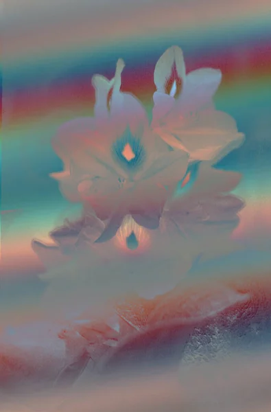 Abstracte Achtergrond Met Silhouetten Van Bloemen — Stockfoto