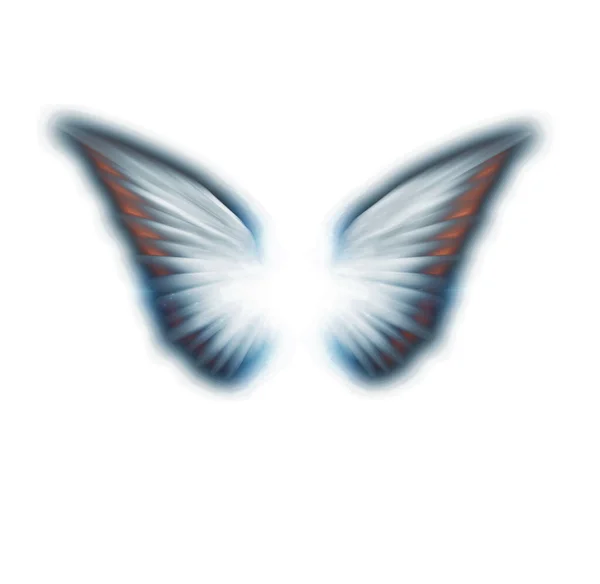 Butterfly Wings Isolated White Background Art — 스톡 사진