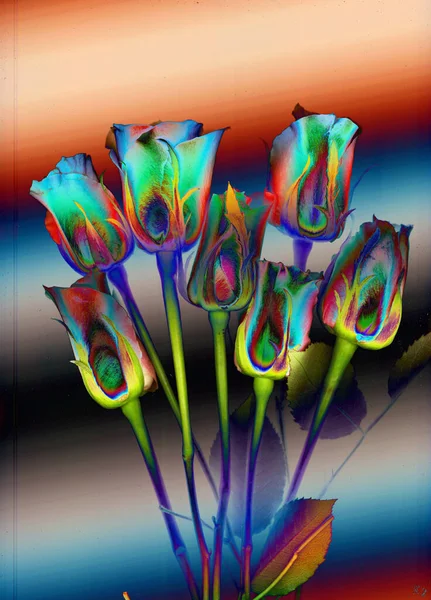 Abstrakcyjny Kolor Brokat Bukiet Kwiatów — Zdjęcie stockowe