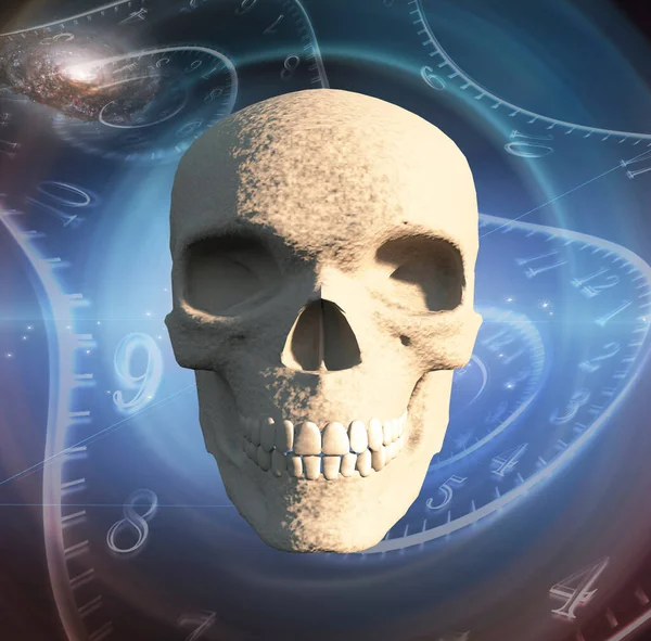 Skull Skeleton Gray Background — Stock Photo, Image