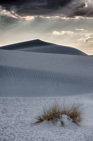 Prachtig Landschap Van Woestijn Achtergrond — Stockfoto