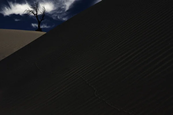 View Beautiful Desert Cloudy Sky — 图库照片