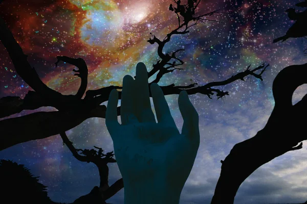 Night Silhouette Tree Hand Space Background — Zdjęcie stockowe