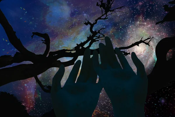 空间背景下的树和手的夜间轮廓 — 图库照片