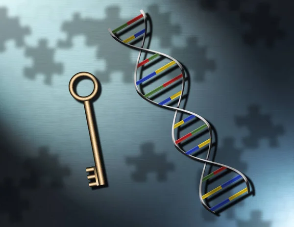 Dna Strand Key Puzzle Pieces Rendering — Stock Photo, Image