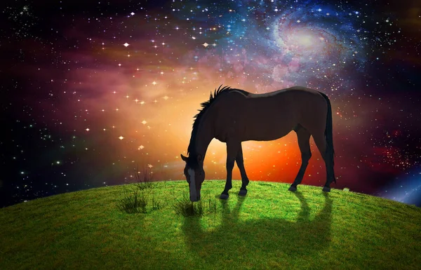 Beautiful Landscape Horse Nature Background — Stock Photo, Image