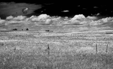 Alan ve bulutlu gökyüzü arkaplanlı manzara