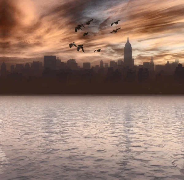 New Yorks Kustlinje Panoramabild Flock Fåglar Flyger Skyn — Stockfoto