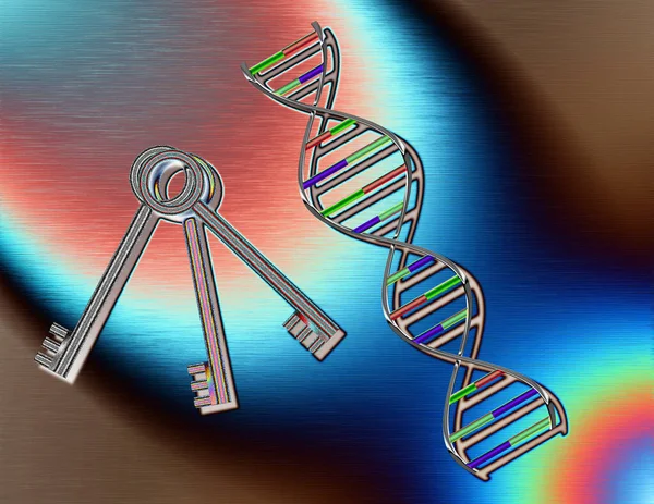 Dna Strand Keys Rendering — Stock Photo, Image