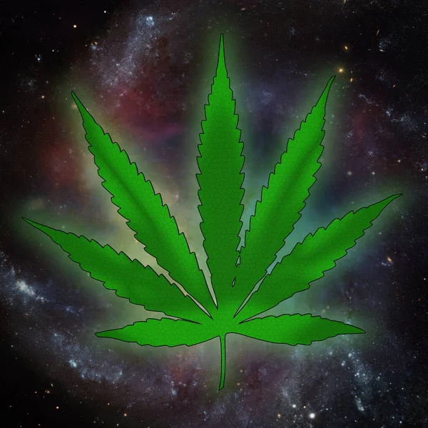 Marijuana Cannabis Leaf Background Close — Fotografia de Stock