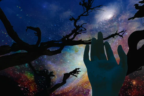 Night Silhouette Tree Hand Space Background — Stockfoto