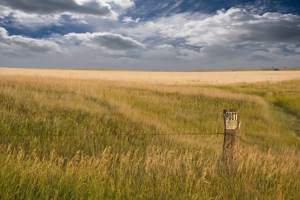 Belo Tiro Campo Trigo Com Céu Nublado — Fotografia de Stock