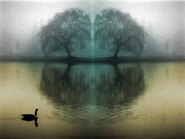 木々の反射を伴う湖の対称的なシルエット — ストック写真