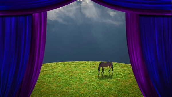 Открытый Занавес Лошадью — стоковое фото