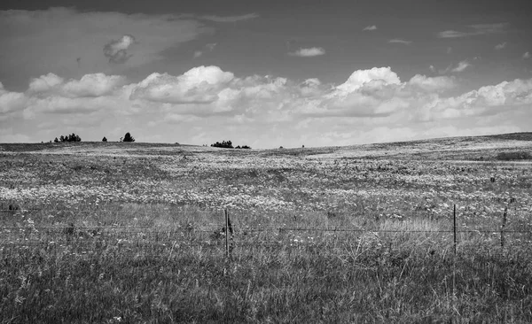 Landschap Met Veld Bewolkte Lucht Achtergrond — Stockfoto