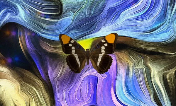 Papillon Sur Peinture Abstraite Colorée — Photo
