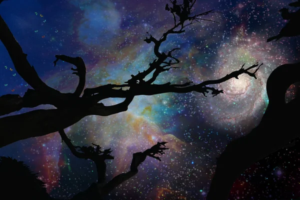 Night Silhouette Tree Space Background — Stock fotografie