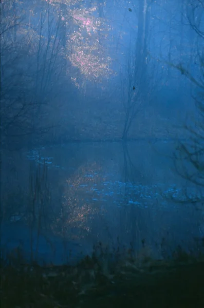 Abstracte Natuurlijke Achtergrond Van Bos Meer — Stockfoto