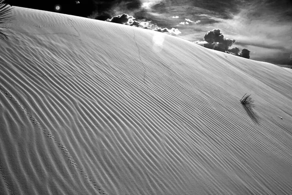 Dunas Areia Deserto Namib Ilustração — Fotografia de Stock