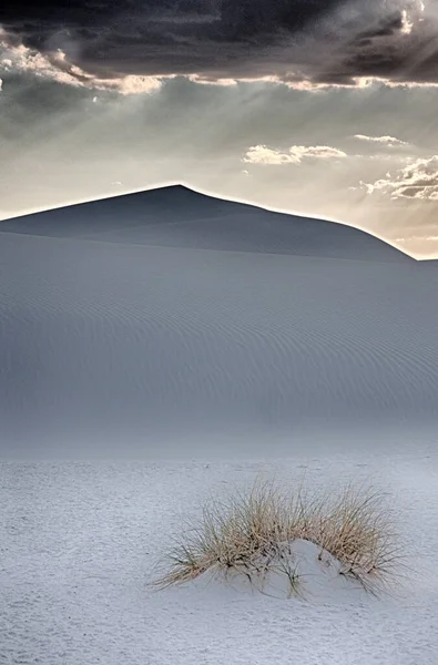 Beautiful Landscape Dunes Sand — Stockfoto