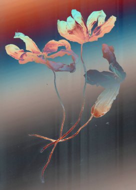 Güzel botanik fotoğrafı, doğal duvar kağıdı.