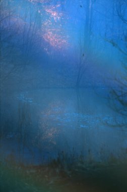 Forest Lake 'in soyut doğal arka planı