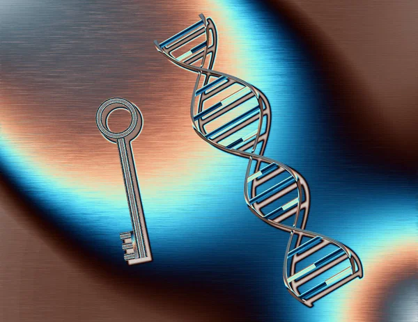 Dna Strand Key Rendering — Stock Photo, Image