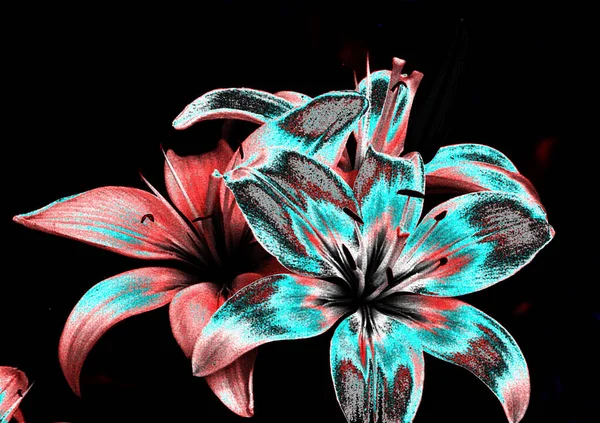 Mooie Lelie Bloemen Bloemen Achtergrond Aquarel Illustratie — Stockfoto