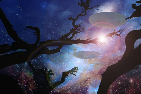 밤하늘에 나무의 실루엣 — 스톡 사진