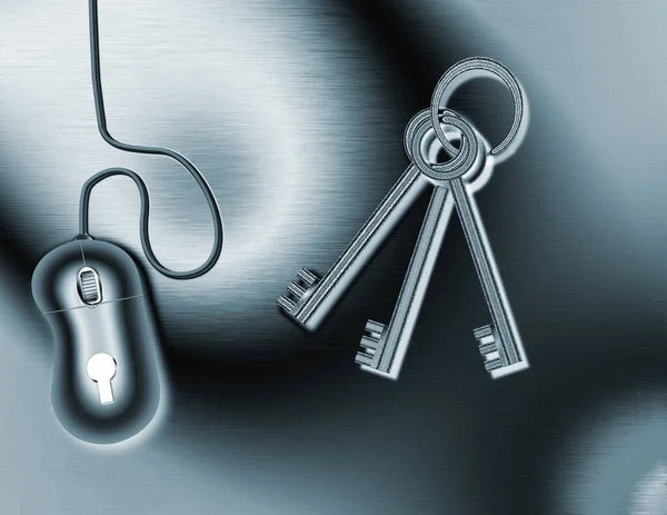 Internet Security Keys Computer Mouse Rendering — Stock Photo, Image