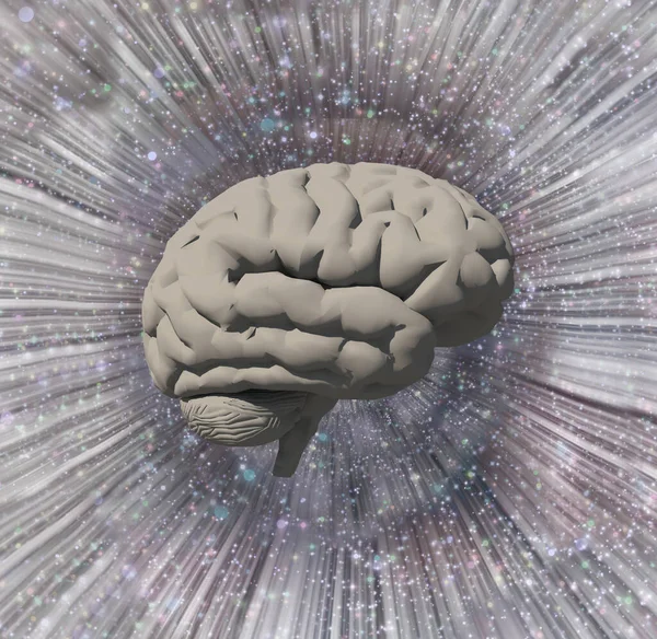 Иллюстрация Человеческого Мозга Компьютерная Графика — стоковое фото