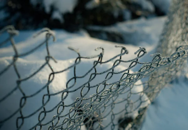 Frozen Fence Metall Mesh Snowy Raureif Wintertag Winter Schnee Textur — Stockfoto