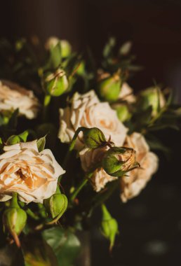 Sabah güneşiyle aydınlatılmış bir masanın üzerinde pembe bir buket çiçek..