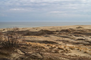 Kumsaldaki kum tepeleri. Çöl manzarası.