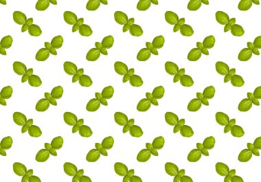 Fesleğen deseni beyaz arkaplanda izole edildi. Fesleğen yapraklarından yapılmış çerçeve. Düz yatış, üst görünüm