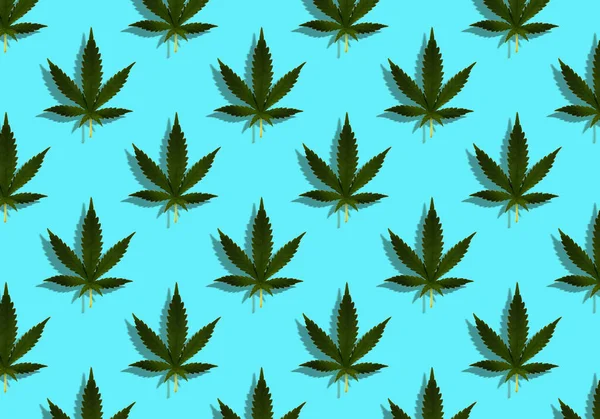 Ett Cannabisblad Ljusblå Bakgrund Sömlöst Mönster Med Marijuana Logotypen Design — Stockfoto