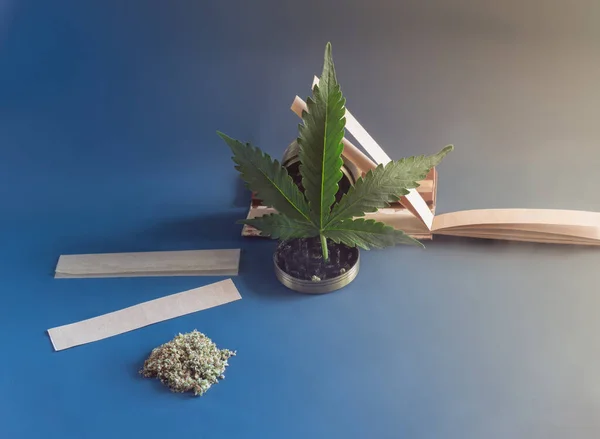 Cannabis Indica Leder Knopp Och Kvarn Över Blå Bakgrund Enheter — Stockfoto