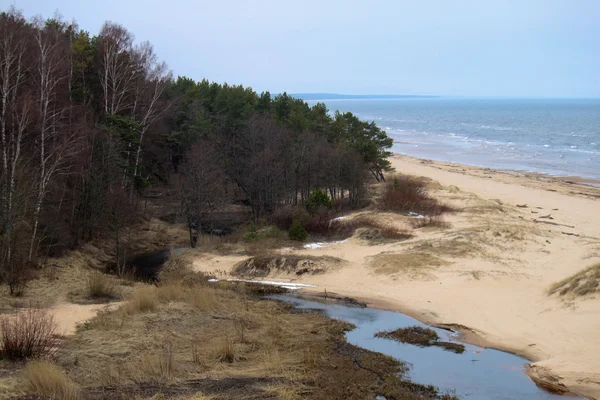 Каменный пляж — стоковое фото