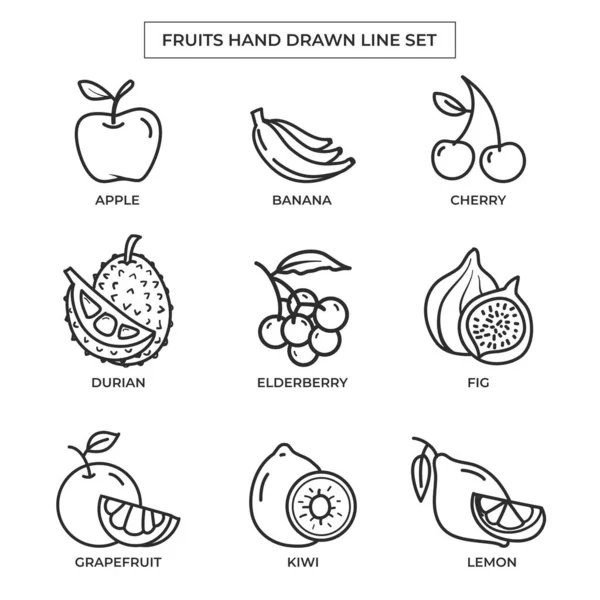 Frutas Mão Desenhada Com Conjunto Arte Linha Ilustrações De Stock Royalty-Free
