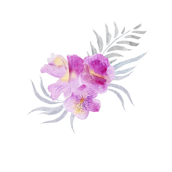 Красиві Фіолетові Квіти Листя Ізольовані Білому — стокове фото