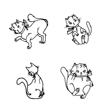 Beyaz tenli komik sevimli kediler.